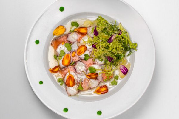 Carpaccio de pulpo español 2 Carpaccio de pulpo español 2